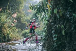 BIB: 
                            <button type="button" onclick="openModal(13716843)" class="btn btn-primary btn-sm float-right btn-popup" data-toggle="modal" data-target=".modal-high-quality">
                        <i class="fas fa-shopping-cart"></i> Add to Cart
                    </button>
                                            <button type="button" onclick="isThisMe(13716843, true)" class="btn btn-success btn-sm float-right btn-popup btn-isme hidden" data-toggle="tooltip" data-placement="bottom" title="นี่คือรูปของคุณใช่ไหม คลิกที่นี่เพื่อเอาเข้าอัลบั้ม">
                        <i class="fas fa-plus"></i> Add to album
                    </button>
                    <button type="button" onclick="isThisMe(13716843, false)" class="btn btn-warning btn-sm float-right btn-popup btn-isnotme hidden">
                        <i class="fas fa-ban"></i> Remove from album
                    </button>